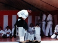 Img469