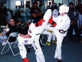 Img510